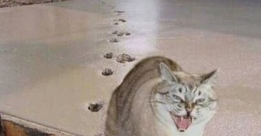 Короткий путь не всегда самый лучший