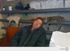 15 домашних животных, выбравших необычные места для отдыха