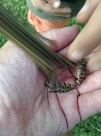 Команда, подготовиться к гиперпрыжку! Начинаю отсчет - 5 4 3 2 1 ...