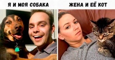 Собаки, которые проводили много времени с котами и переняли их привычки