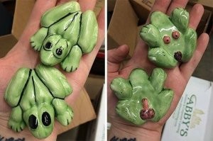 Милые и смешные фото лягушек, которые заставят улыбнуться