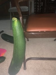 Обычная цуква, чему удивляться то?