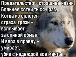 Что стало с теми сенаторами, которые убили Цезаря?