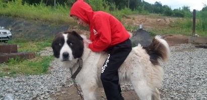 Наша красавица