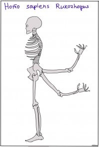 Кухонные неудачи в фотографиях