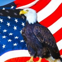 Кому-то звездочку дали.