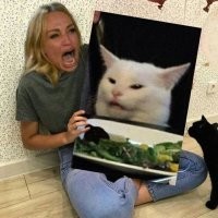 Убойные мемы с котом, которому всегда есть, что сказать и над чем похихикать