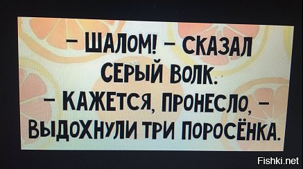 Шалом что значит. Значит вы не следите за ситуацией в стране. Если вы не материтесь значит следите за ситуацией в стране. Если вы не пьёте и не материтесь значит. Шалом сказал серый волк.