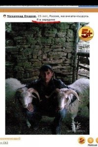 В Пушкино трое брюнетов-торопыг на "девятке" не захотели стоять в пробке и двинулись по встречке