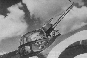 В Австралии ворон напал на дрона-курьера