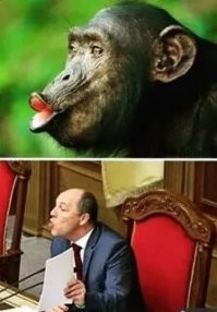 КОПИЯ!