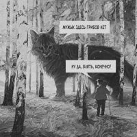 Лес и грибы