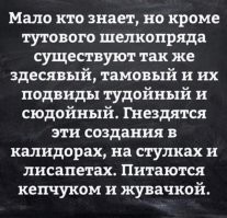 Что общего у носков и шелкопрядов?
И те и другие бывают непарными.