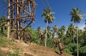 Самое веселое развлечение у аборигенов Вануату. Они прыгают головой вниз с вышки под 10 метров, привязав себя за ногу лианами. Самый шик у них это остановиться в пару см от земли и коснуться макушкой земли... стоит ли говорить что не у каждого это получается, со стороны это выглядит как здоровые - суицидники прыгают бошкой в землю.