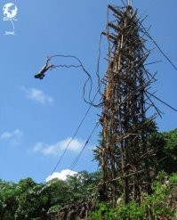Самое веселое развлечение у аборигенов Вануату. Они прыгают головой вниз с вышки под 10 метров, привязав себя за ногу лианами. Самый шик у них это остановиться в пару см от земли и коснуться макушкой земли... стоит ли говорить что не у каждого это получается, со стороны это выглядит как здоровые - суицидники прыгают бошкой в землю.