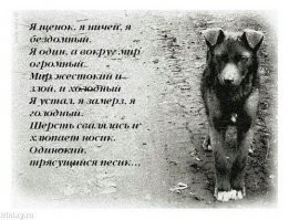 Эх, подкину свои 5 копеек на сайт хорошего настроения...