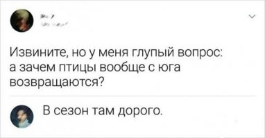 Смешные комментарии из&nbsp;социальных сетей - 3