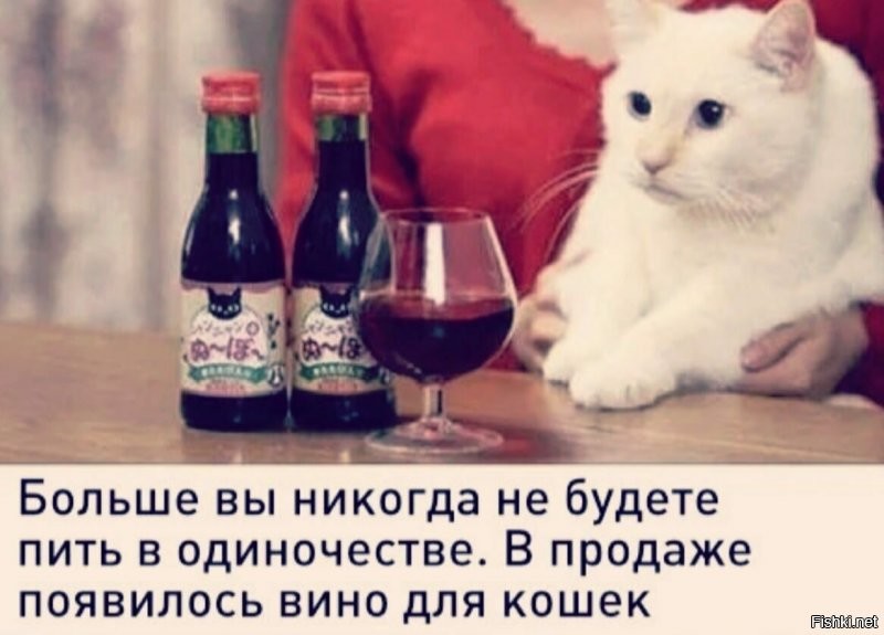 Солянка от 26.09.2021