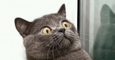 С Пилатом все понятно, таки документы его предоставлены, родство определено, существование определено. А встречался ли он с мужиком по имени Иисус никто не знает, кроме сообщения из художественного произведения, скомпилированного из разных непроверенных источников через пятьсот лет позднее предполагаемых событий. Так что спроси Пилата - Чё ты за Христа не вписался? -  он выпучит глаза - Эт хто?