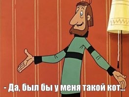 Хорошая история. И правдивая. Кошачьи всё же больше любят мужика. То ли хозяина чувствуют, то ли недолюбливают женщин за купания и страсть к чистоте и порядку.