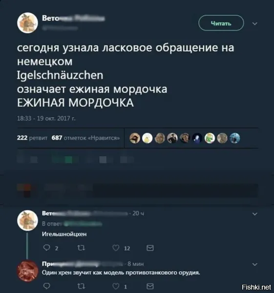 Смешные и познавательные картинки