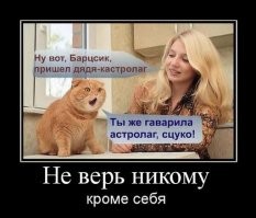 «Мы с женой решили купить животное»…