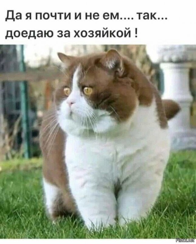 Солянка от 27.09.2021