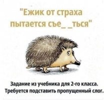 А вот если не игнорировать букву Ё, то всё становится очевидно. И ложной проблемы выбора не возникает.