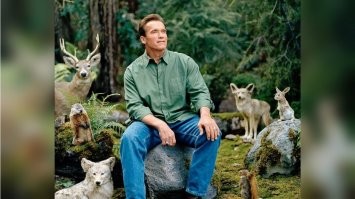 Животные чую добро и ласку, а если им ещё и еды давать с руки - поглаживая - лешие кореша твои будут.
Я малым с сестрой ездил на лето отдыхать под Брянск, двоюродной бабушке в д. Шамардино.  Так там целый двор был всякой живности: гуси, куры, свиньи, корова с телёнком, сторожевой пёс "Дружок", в общем мы с ними за лето так сдружились, что с утра выходишь из хаты.. а тебя уже ждут.. гусю шею погладишь, поросёнка за брюшко почухаешь, псу за ухом почешеь, украдкой дашь им чего-нить, что за завтраком припрятал, и сидите вместе на крылечке, греетесь в лучах восходящего солнца под звуки летающих пчёл :) Лепотоа.

Постарше стали, нам взрослые рассказали, что почти вся эта  живность - на убой. Вот это был  шок тогда. :)