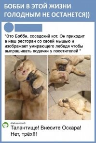 Так себе картинки ( утреннее ) позитив черно-белый