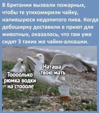 Заходи... Улыбнись - 4