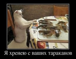 Весёлые демотиваторы на разные темы