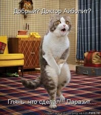 «Мы с женой решили купить животное»…