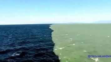 Места встречи океанов. Как видно, их воды не смешиваются...
Ну что, как ТЕПЕРЬ будешь писать курсовые? Шах и мат.