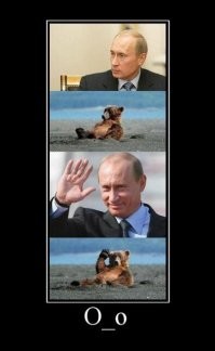 Кремль опубликовал фотографии Путина из  сибирской тайги