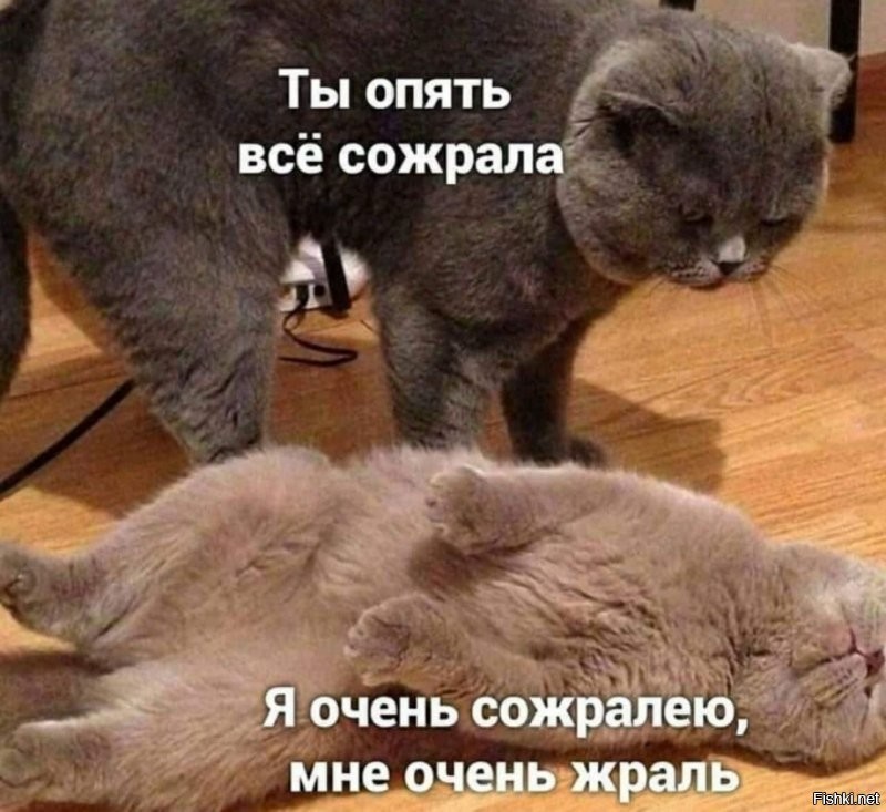 Солянка от 28.09.2021