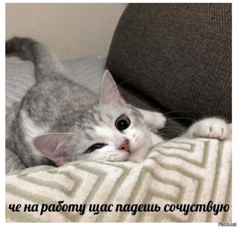 Солянка от 28.09.2021