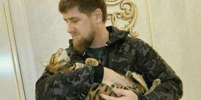 Этот кот был против.....