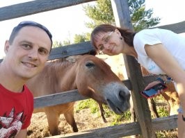 Этим летом собирал сливы в одной из заброшенных деревень в 25 км от вышеупомянутого Велижа. Вот это я вам скажу урожай, как гроздья винограда! Места здесь дивные, все детство прошло в дер. Селезни. На фото озеро Сапшо, лошадь Пржевальского, слияние рек Западная Двина и Межа. Места силы!