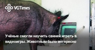 Юмор на любителя про геймеров и кибер-спорт