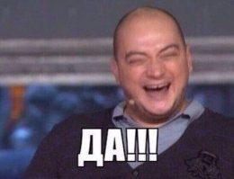 Кошачьи гифки