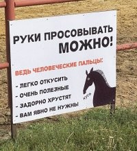 ну ёма...только у Зубкова суды закончились из-за синей кировской шкуры, теперь ещё одна нарисовалась - корм тиграм принесла. От дебилов никакие решетки не спасут.
Добрые ослики, лошадки и пони могут пальчик схрумкать точно также: