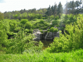 Такие милые деревенские пейзажи