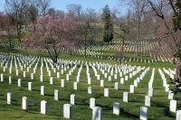 И никаких оград.