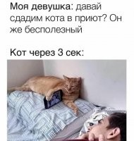 Дуру эту сдать надо. На органы.