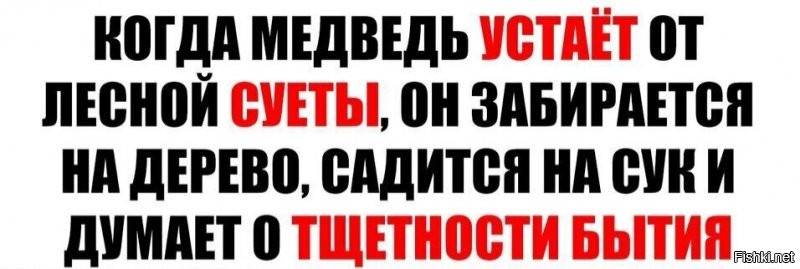 Солянка от 29.09.2021