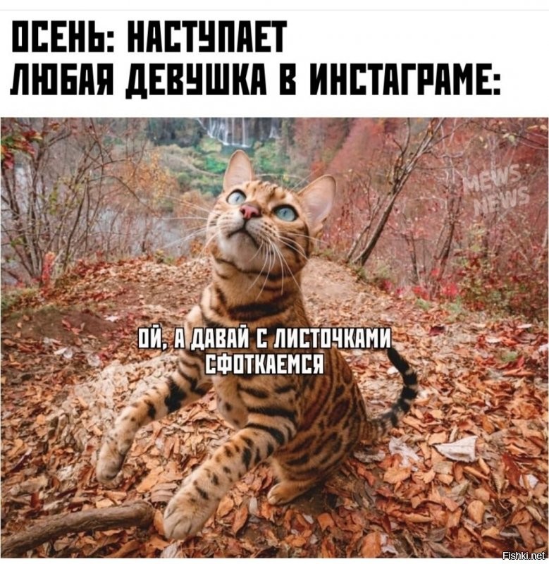 Солянка от 29.09.2021
