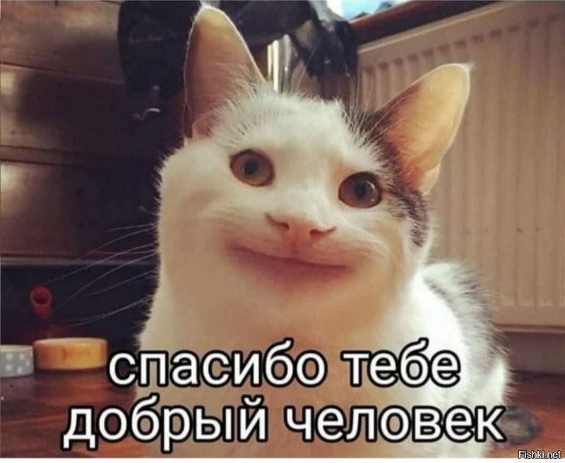 Солянка от 29.09.2021