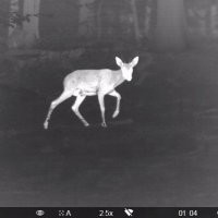 Ну, у чувака ружьё как не у многих машина стоит, а значит и тепловизор там  соответствующий, в который отлично можно отличать разные цели на значимых дистанциях.
Да и если они охотники со стажем и к тому же рисковые браконьеры, значит знали кто где будет и как и куда стрелять, а куда не надо.. А тут такие расклады, как будто малолетки пива набухались и постреляли друг дружку из батькиного обреза.
Что-то здесь нечисто.