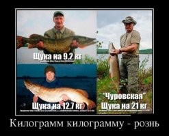 Отличный улов рыбака